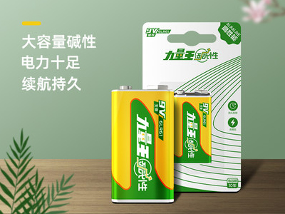 堿（jiǎn）性電（diàn）池介紹