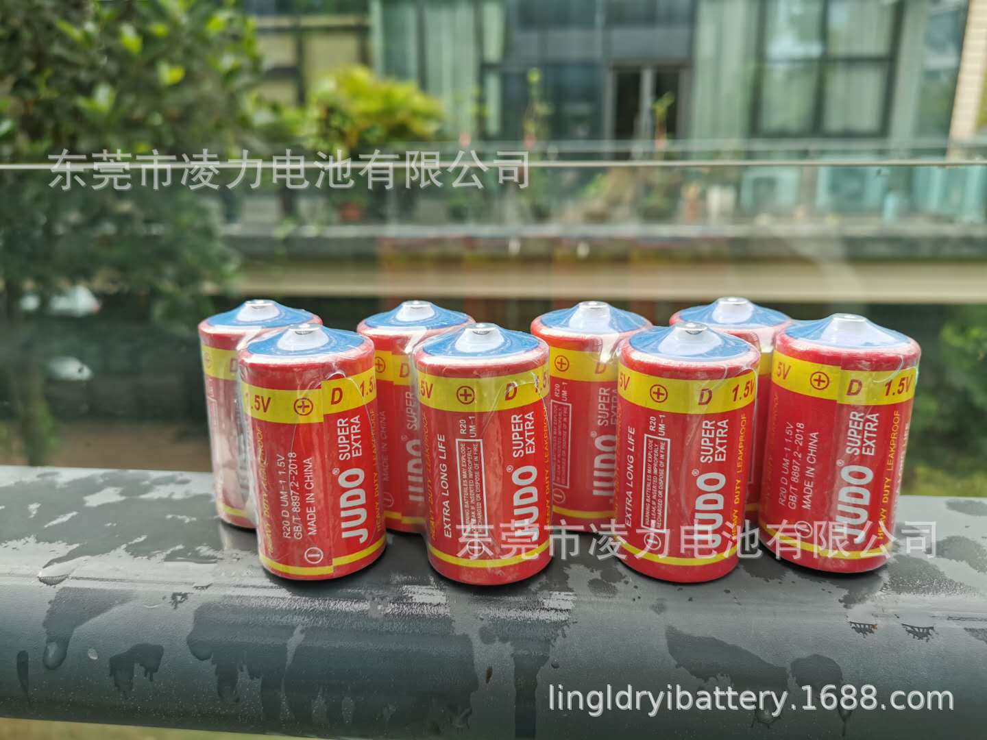 大號電池，手電筒大號電池